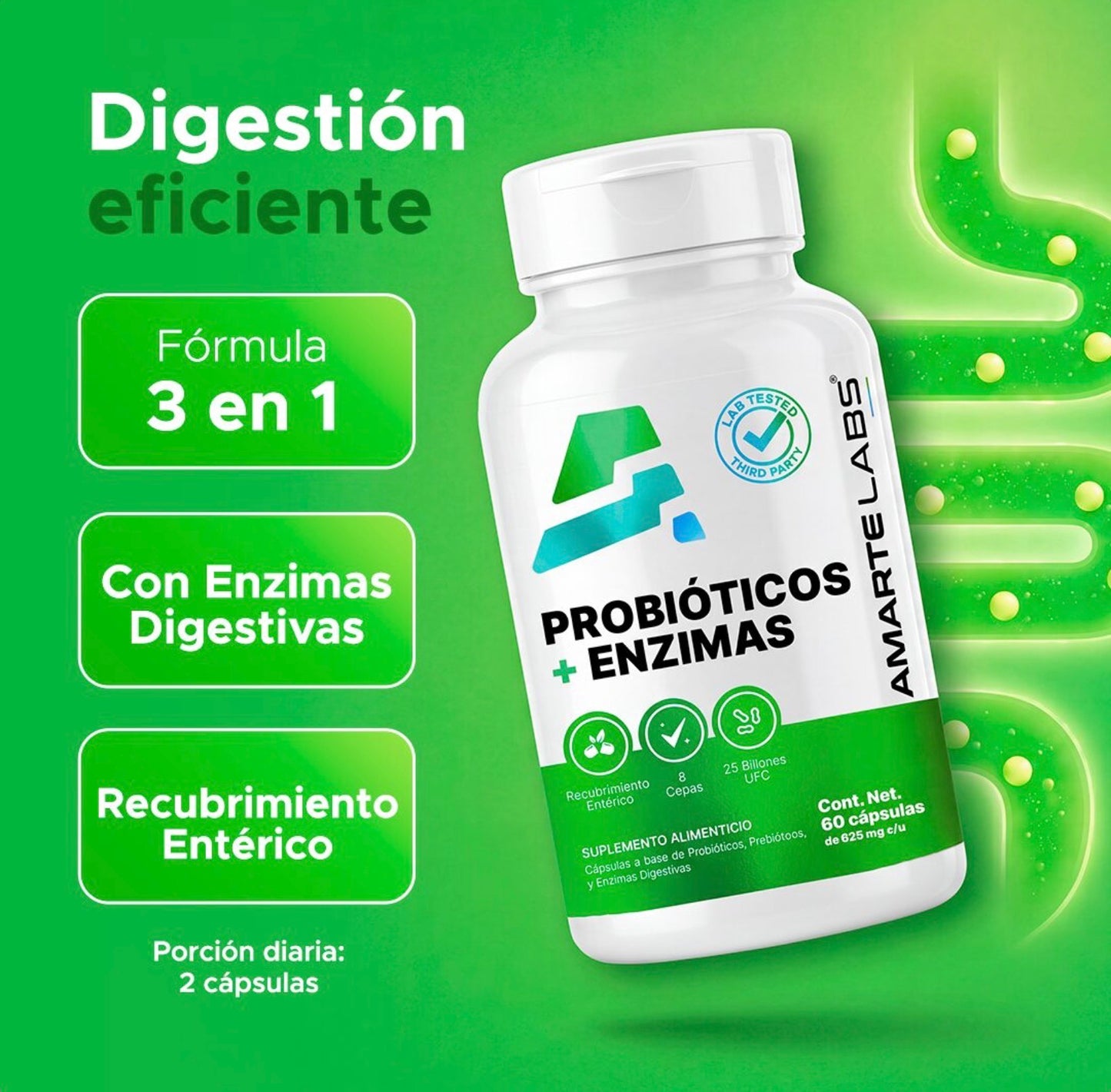 Probióticos + Enzimas